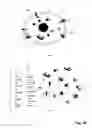 Fig. 09 - Detection of Activation of Endothelial Cells as Surrogate Marker for Angiogenesis