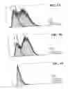 Fig. 02 - METHOD FOR USING DIVISION ARRESTED CELLS IN SCREENING ASSAYS