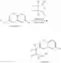 Fig. 07 - Cyclopentadione derived herbicides