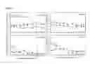 Fig. 08 - Human Intestinal Normal Bacterial Flora DNA Chip and Method for Estimating Harmness to Human Body Due to Change of Human Intestinal Normal Bacterial Flora Using DNA Chip