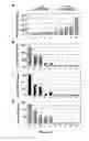Fig. 05 - Micro-RNAs as Markers for Tumor Progression