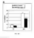 Fig. 19 - Micro-RNAs as Markers for Tumor Progression
