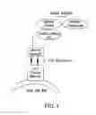 Fig. 02 - Yeast Display Systems