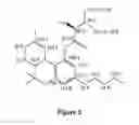 Fig. 04 - Compositions containing delta-9-THC-amino acid esters and process of preparation