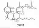Fig. 09 - Compositions containing delta-9-THC-amino acid esters and process of preparation