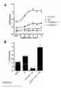 Fig. 05 - Use of CTGF as a Cardioprotectant