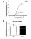 Fig. 06 - Use of CTGF as a Cardioprotectant