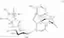 Fig. 02 - Bicyclic derivatives of morphine-6-glucuronide, preparation method thereof and use of same in therapeutics