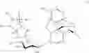 Fig. 13 - Bicyclic derivatives of morphine-6-glucuronide, preparation method thereof and use of same in therapeutics