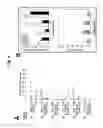 Fig. 06 - METHODS FOR TREATING NEOPLASIA AND FOR IDENTIFYING COMPOSITIONS USEFUL IN SUCH THERAPY