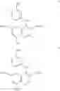 Fig. 06 - Bi-functional quinoline analogs