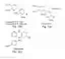 Fig. 02 - AROYLQUINOLINE COMPOUNDS