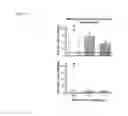 Fig. 09 - Method for treating drug and behavioral addictions