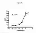 Fig. 05 - New Compounds VII