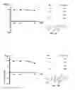 Fig. 07 - Androgen receptor modulating compounds, preparation and uses thereof