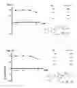 Fig. 08 - Androgen receptor modulating compounds, preparation and uses thereof