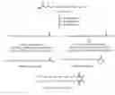 Fig. 01 - Process for preparing saturated branched chain fatty acids