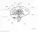 Fig. 68 - Lumen-traveling biological interface device and method of use