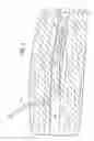 Fig. 02 - Methods and apparatus for treating or deterring injuries to or disorders of the brain or spinal cord of a subject