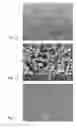 Fig. 03 - Integrated microneedle array and a method for manufacturing thereof