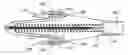 Fig. 01 - SAFETY NEEDLE DEVICE