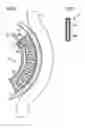 Fig. 06 - Stimulation of penis erection