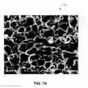 Fig. 02 - POROUS MATERIALS, METHODS OF MAKING AND USES