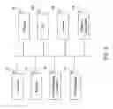 Fig. 03 - PERSONAL SURGICAL CENTER