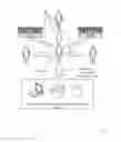 Fig. 02 - METHODS AND APPARATUS FOR A FINANCIAL DOCUMENT CLEARINGHOUSE AND SECURE DELIVERY NETWORK