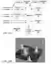 Fig. 12 - Energy and internal environment management information systems and methods for buildings and campuses