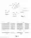 Fig. 02 - Formation of special interest groups