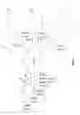 Fig. 02 - Aggregating time-delayed sessions in a video delivery system