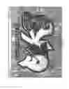 Fig. 08 - VIRTUAL ART ENVIRONMENT