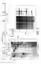 Fig. 06 - Genetically modified non-human mammals and cells