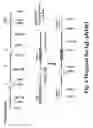 Fig. 07 - Transgenic Aves Producing Human Polyclonal Antibodies