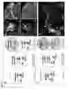 Fig. 07 - SYSTEM AND METHODS TO CONTROL TRANSGENE EXPRESSION