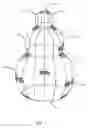 Fig. 02 - Snowman frame and method for use