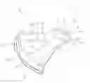 Fig. 01 - STRING TRIMMER SHIELD