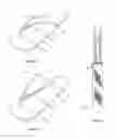 Fig. 02 - SANDAL SUITABLE FOR POST-PEDICURE USE