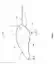 Fig. 02 - Variable light fishing lure