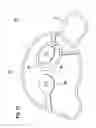 Fig. 13 - Motor-pump assembly