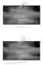 Fig. 08 - Apparatus and method for non-destructive testing using ultrasonic phased array