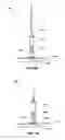 Fig. 04 - Devices for collecting chemical compounds
