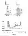 Fig. 08 - Devices for collecting chemical compounds