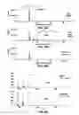 Fig. 22 - Device for collecting chemical compounds and related methods