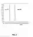 Fig. 06 - SEPARATION METHOD FOR CARRIER-FREE RADIOLANTHANIDES