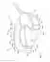 Fig. 07 - Open end wrench capable of fast driving
