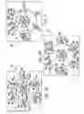 Fig. 08 - Method and apparatus for braiding micro strands