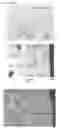 Fig. 01 - METHOD FOR MODIFYING A POLYIMIDE MEMBRANE