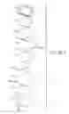 Fig. 07 - Gas anti diffusion assemblies